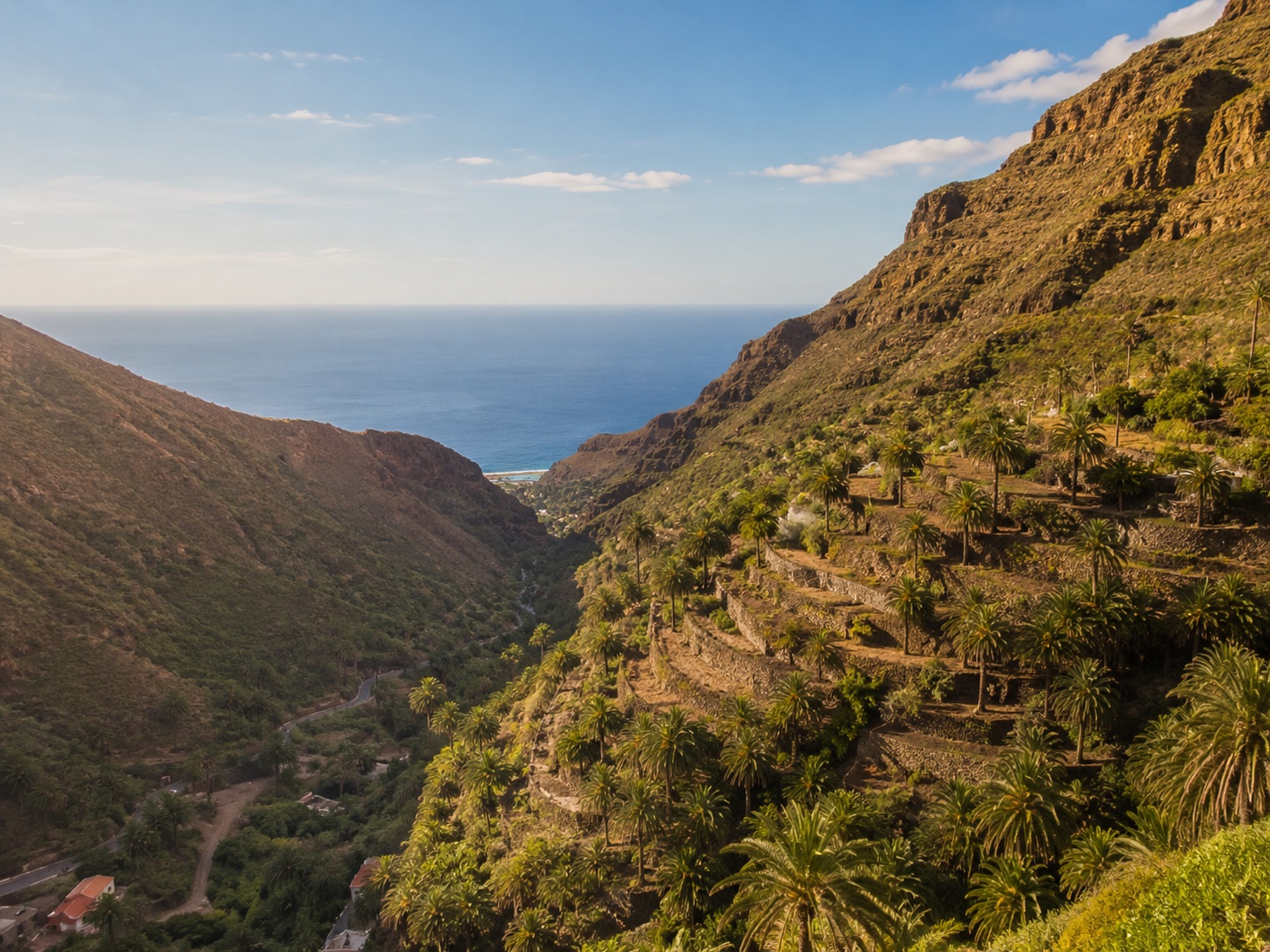 Terrassierte Hänge und Palmen im Valle Gran Rey auf La Gomera